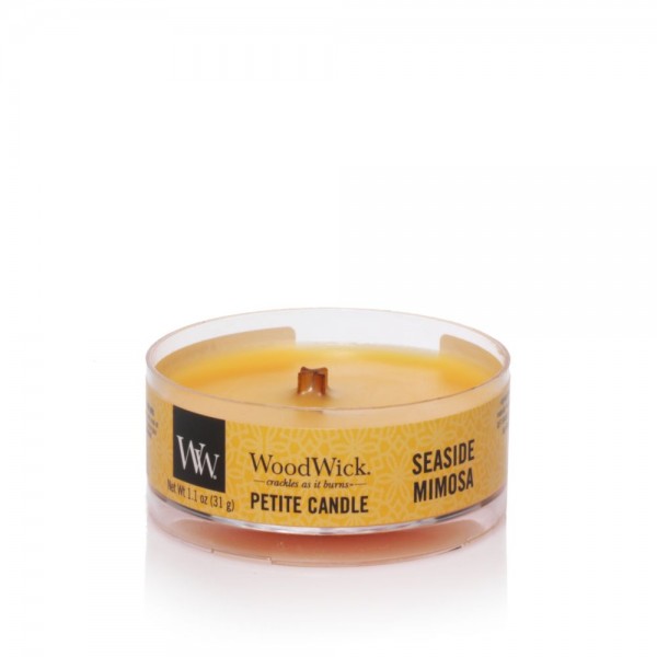 Seaside Mimosa Candela Petite