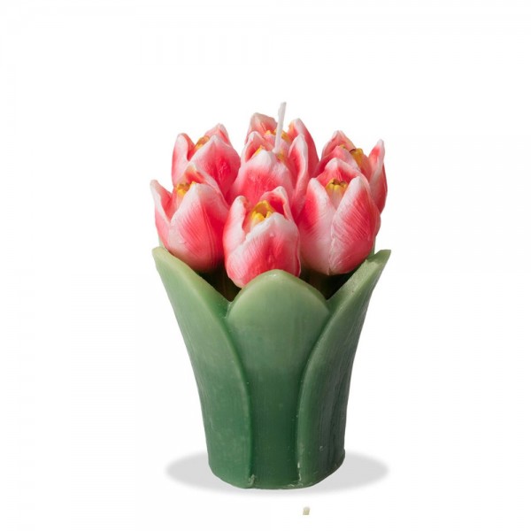 Candela Bouquet Tulipano Rosa