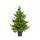 Albero Natale Pino Luxury