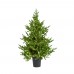 Albero Natale Pino Luxury Albero Natale Pino Luxury