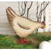Gallina Grande Testa Bassa