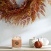 Golden Pumpkin Candela Media