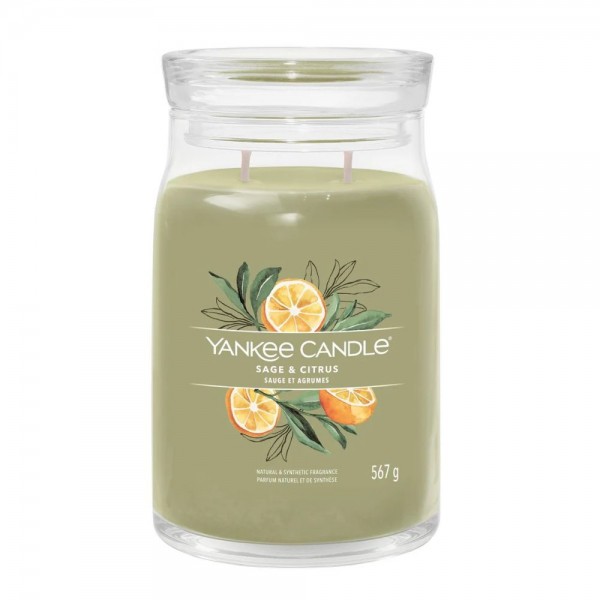 Sage & Citrus Candela Grande Sage & Citrus Candela Grande