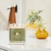 Sage & Citrus Candela media Sage & Citrus Candela media