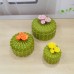 Set 3 Scatoline Cactus Ceramica