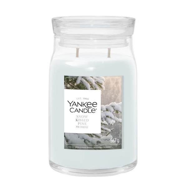 Snow Kissed Pine Candela Grande