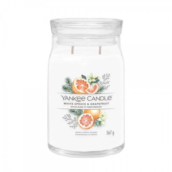 White Spruce & Grapefruit Candela Grande