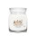 White Spruce & Grapefruit Candela Media White Spruce & Grapefruit Candela Media