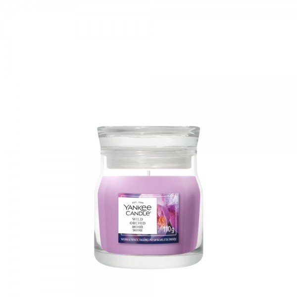Wild Orchid Candela Piccola