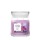 Wild Orchid Candela Media